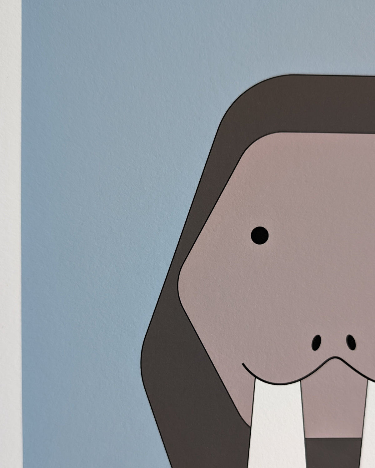 Walrus