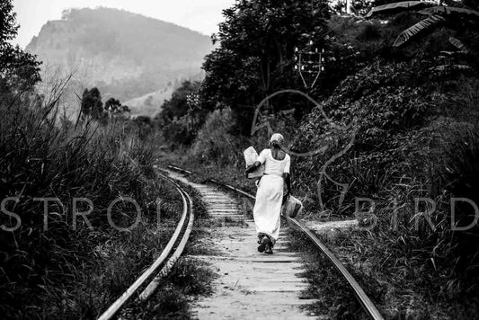 Lady and the track